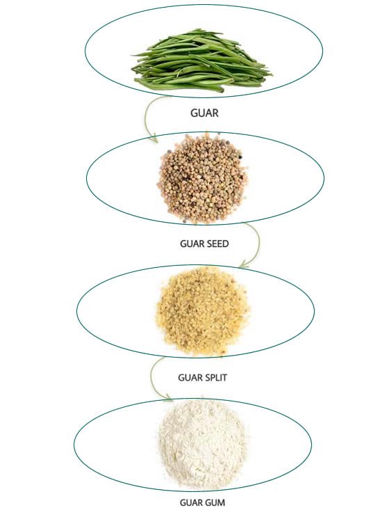 Benifits of Guar Gum Powder